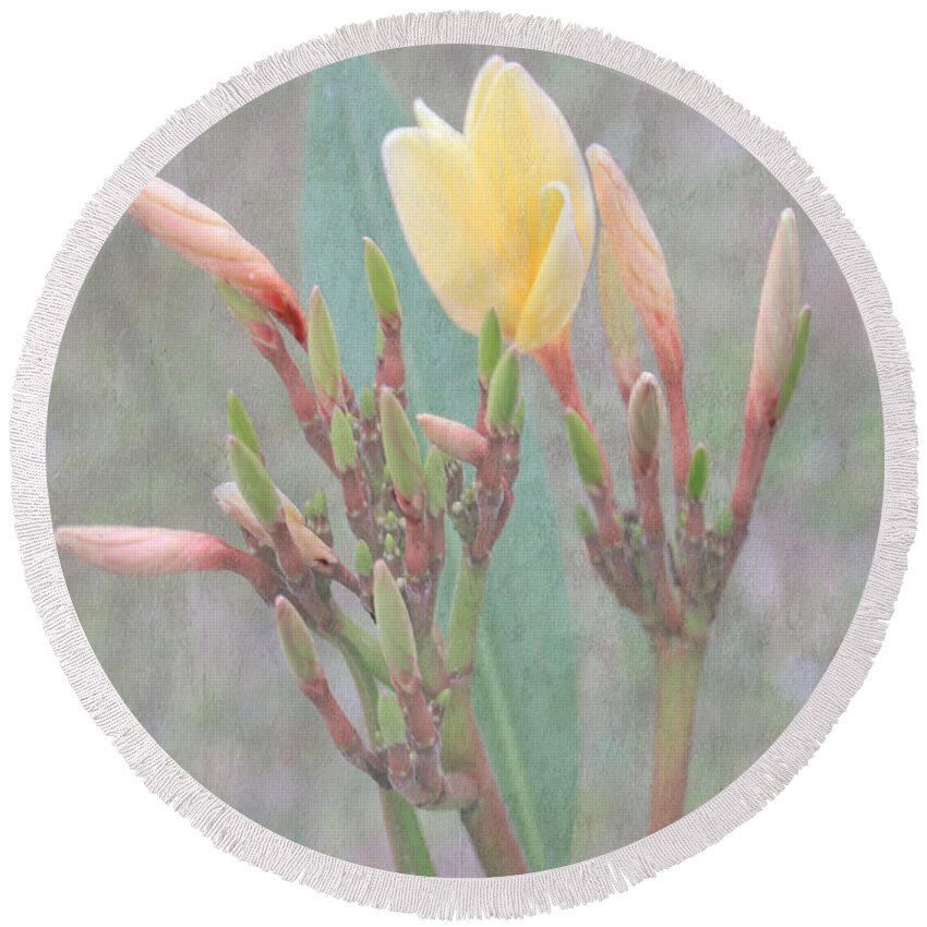 Flower Round Beach Towel featuring the photograph First Bud by Rosalie Scanlon