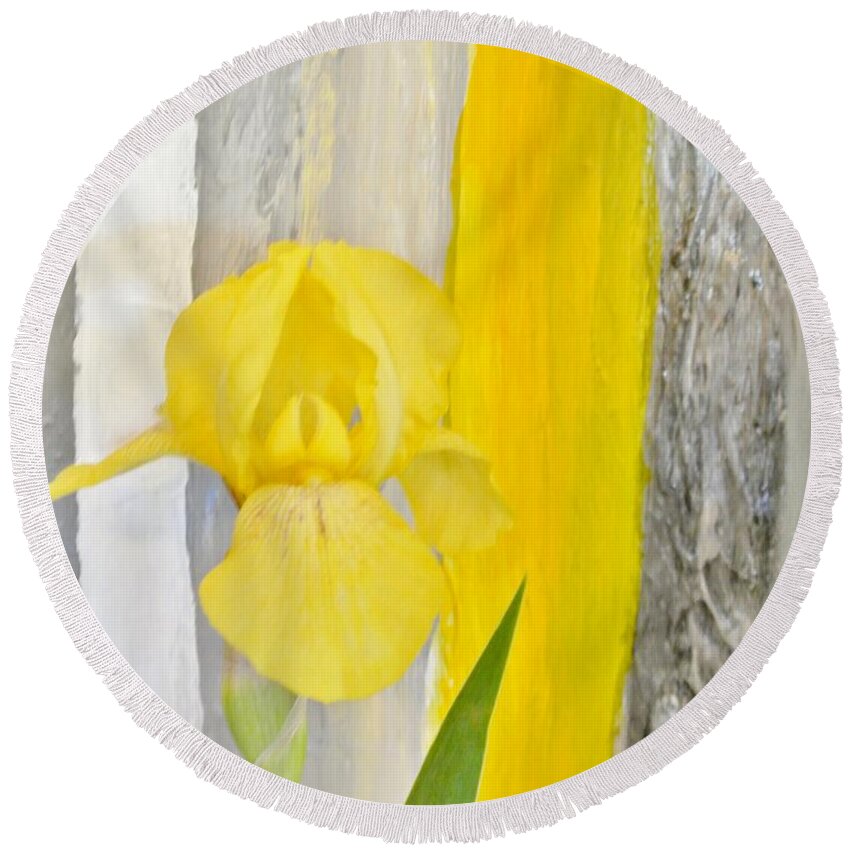 Photo Round Beach Towel featuring the photograph First Yellow Iris by Marsha Heiken