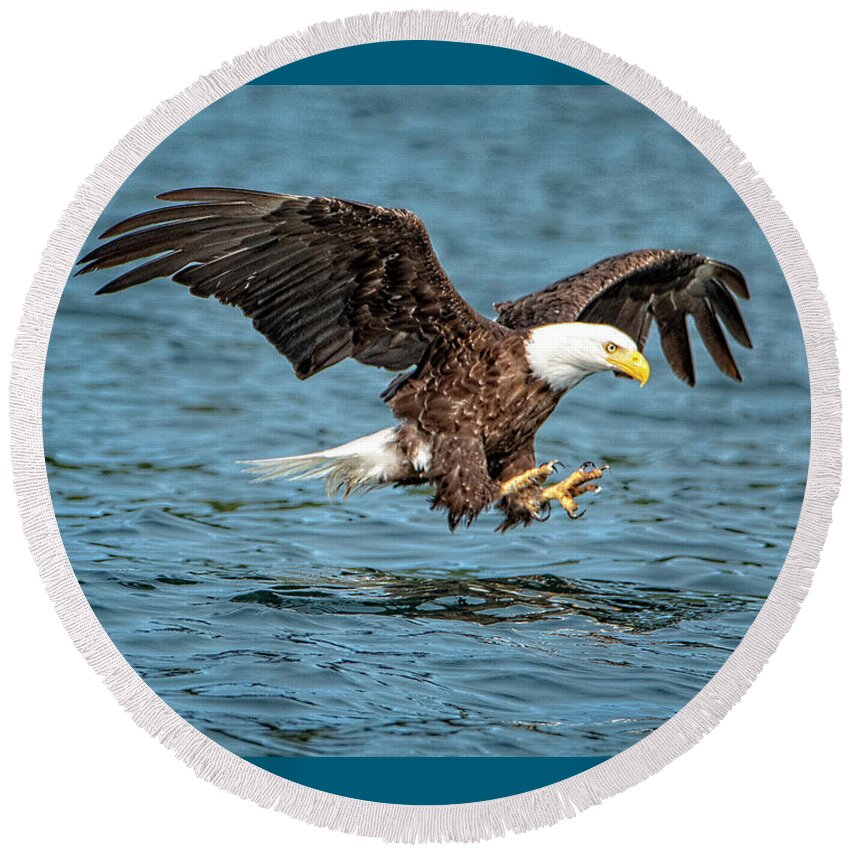 Bald Eagle Round Beach Towel featuring the photograph Fishing by Jeanette Mahoney