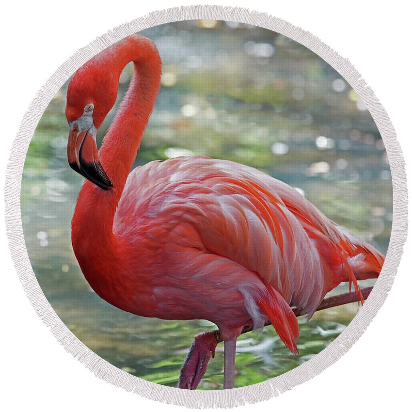 Flamingo Round Beach Towel featuring the photograph Flamingo 2 by Larry Nieland