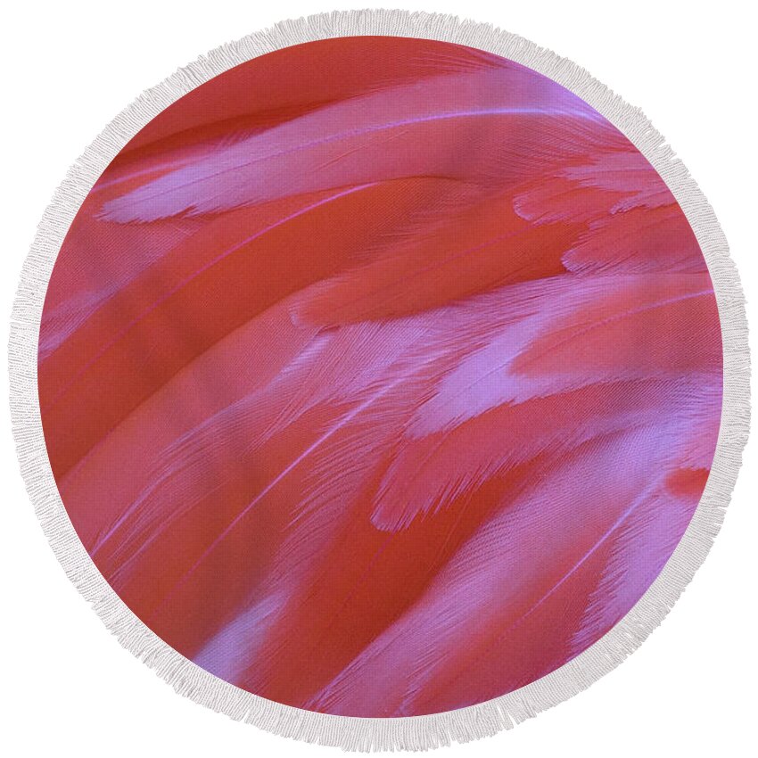 Flamingo Feathers Round Beach Towel featuring the photograph Flamingo Flow 2 by Michael Hubley