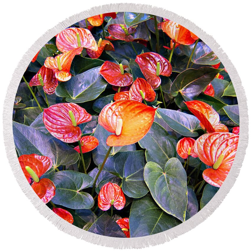 Flamingo Flower Bed Round Beach Towel featuring the photograph Flamingo Flower Bed by Douglas Barnard