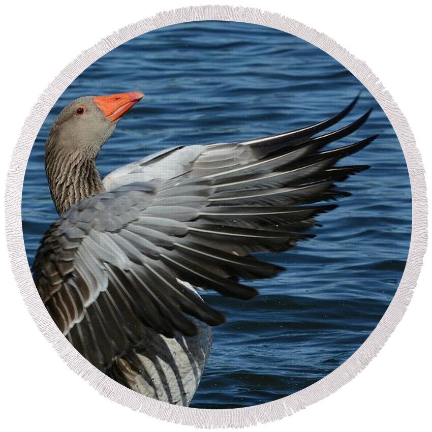 Greylag Goose Round Beach Towel featuring the photograph Flapper by Fraida Gutovich
