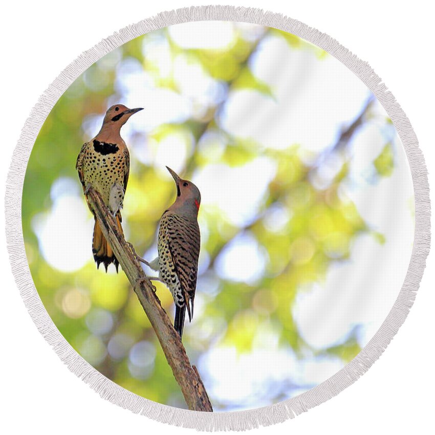 Flicker Territory Round Beach Towel featuring the photograph Flicker Territory by PJQandFriends Photography
