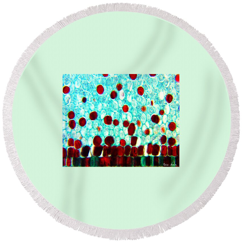 Microscopic Abstract Round Beach Towel featuring the photograph Floating Away by Rein Nomm