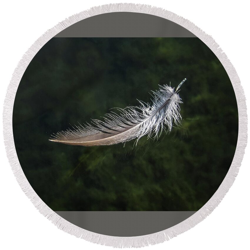 From My Kayak Round Beach Towel featuring the photograph Floating Feather by Louise Lindsay