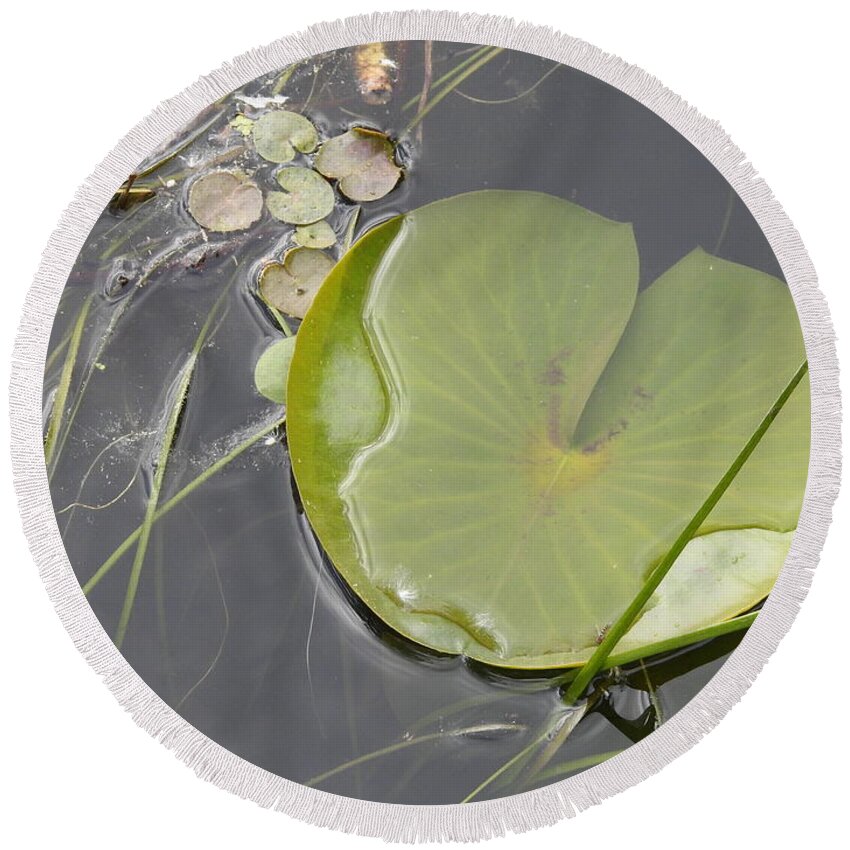 Lily Pad Round Beach Towel featuring the photograph Flooded Pad by Betty-Anne McDonald