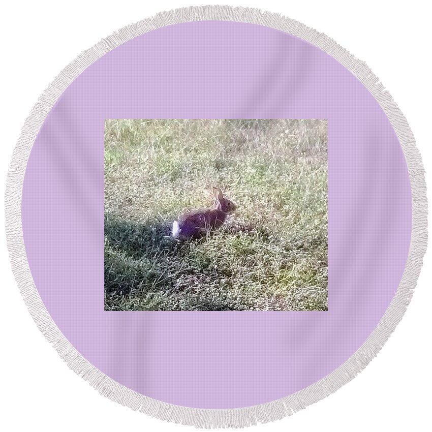 Rabbit. Bunny .wildlife Sanctuary Round Beach Towel featuring the photograph Floppy Our Local Bunny by Suzanne Berthier