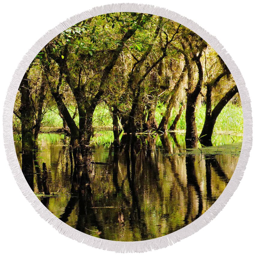 Swamp Round Beach Towel featuring the photograph Florida Swamp by Rosalie Scanlon