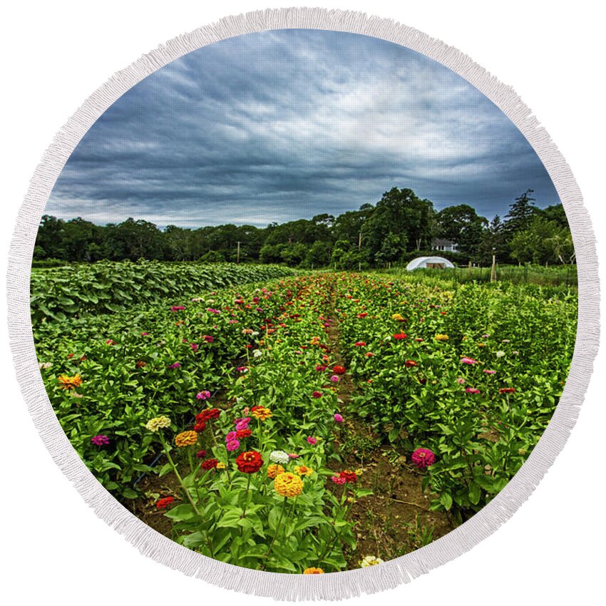 Bloom Round Beach Towel featuring the photograph Flower Field at North Sea Farms by Robert Seifert