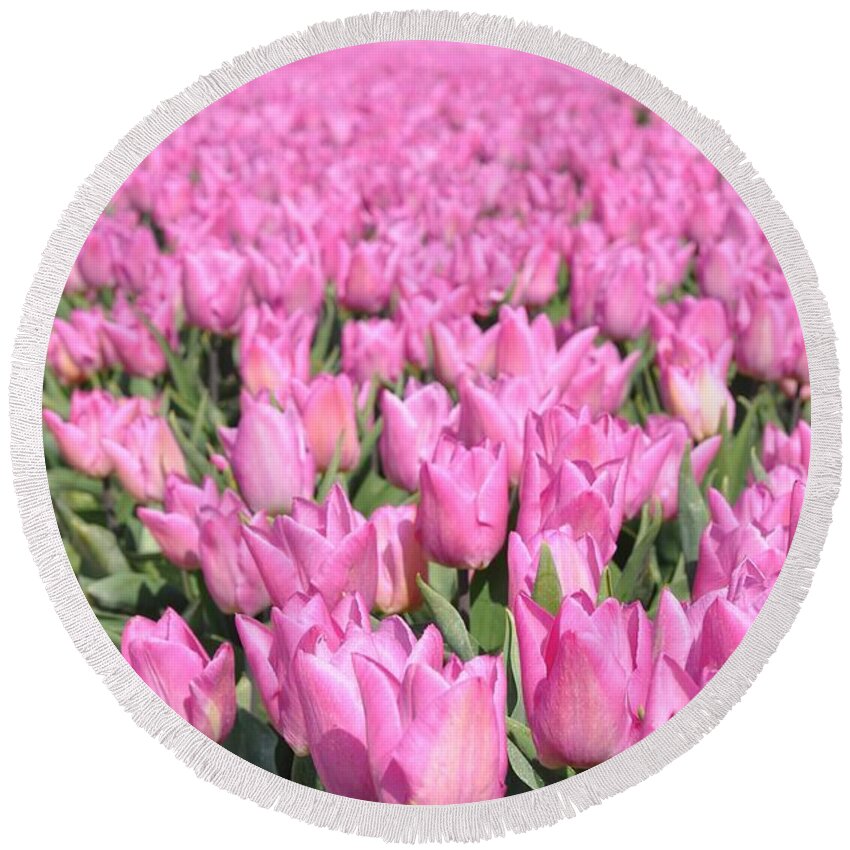 Flowerfields Round Beach Towel featuring the photograph Flowerfield with pink tulips by Eduard Meinema