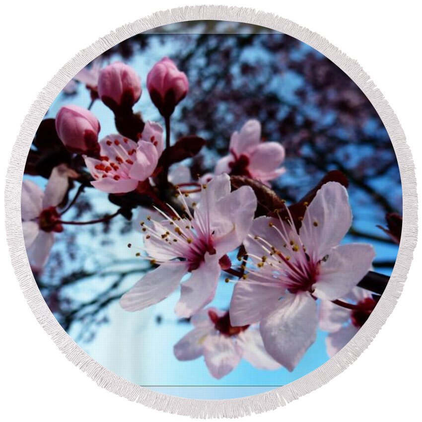 Bloom Round Beach Towel featuring the photograph Flowering of the Plum Tree 6 by Jean Bernard Roussilhe