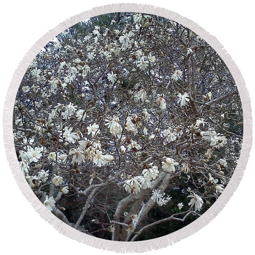 Floral Round Beach Towel featuring the photograph Flowering Tree by Pamela Henry