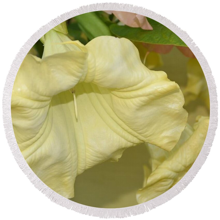 Angels Trumpets Round Beach Towel featuring the photograph Flowers 791 by Joyce StJames
