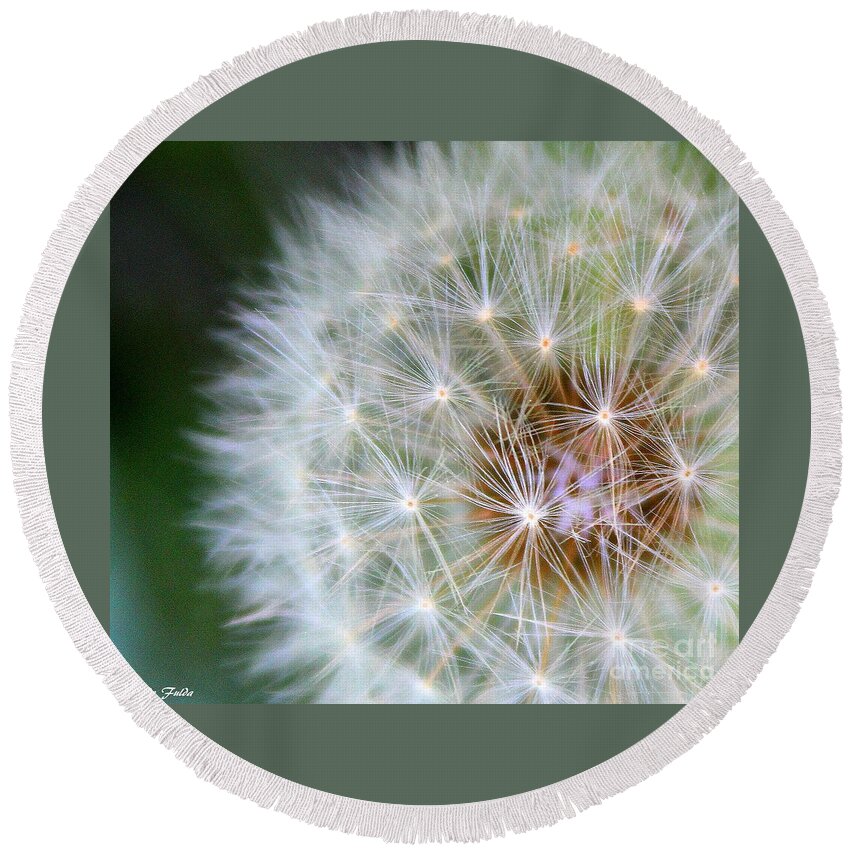 Macro Fluff Flower Round Beach Towel featuring the photograph Fluff by Elfriede Fulda