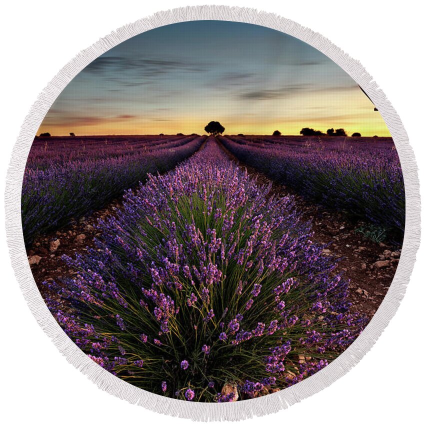 Lavender Round Beach Towel featuring the photograph Fly away by Jorge Maia