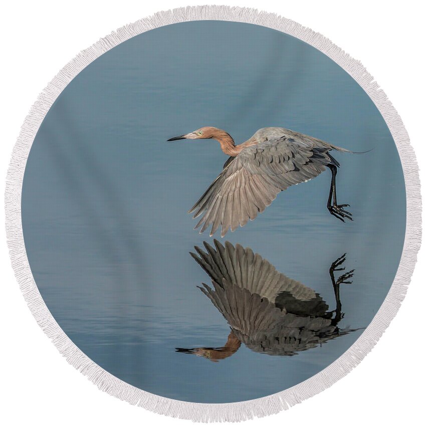 Heron Round Beach Towel featuring the photograph Fly By Reflection by Dorothy Cunningham