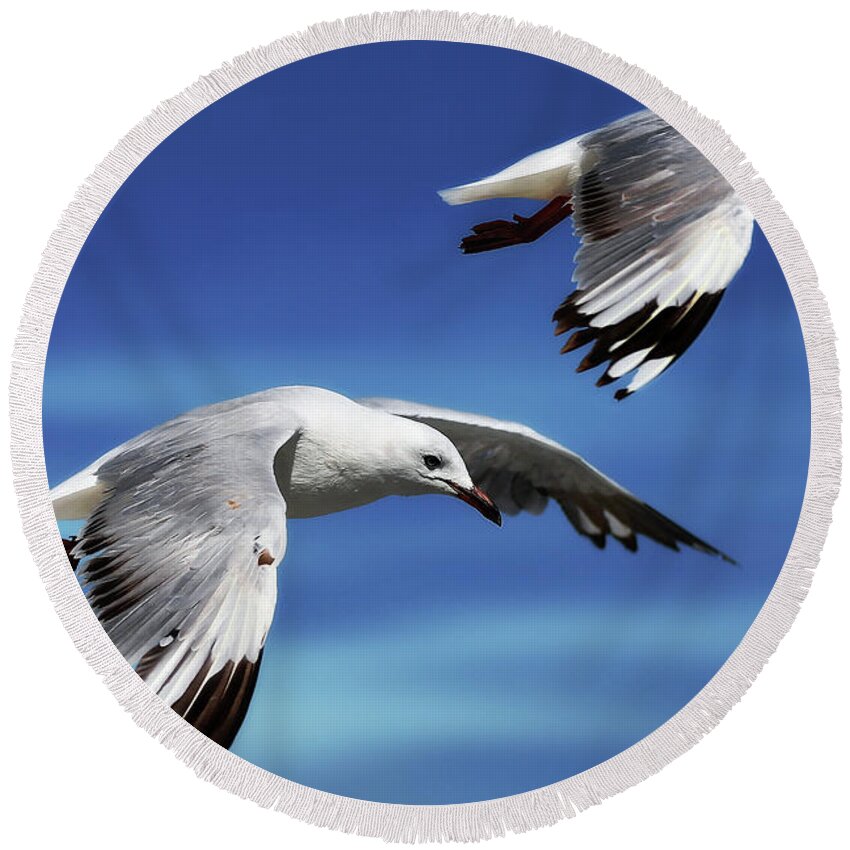 Seagull Photography Round Beach Towel featuring the photograph Flying high 0064 by Kevin Chippindall