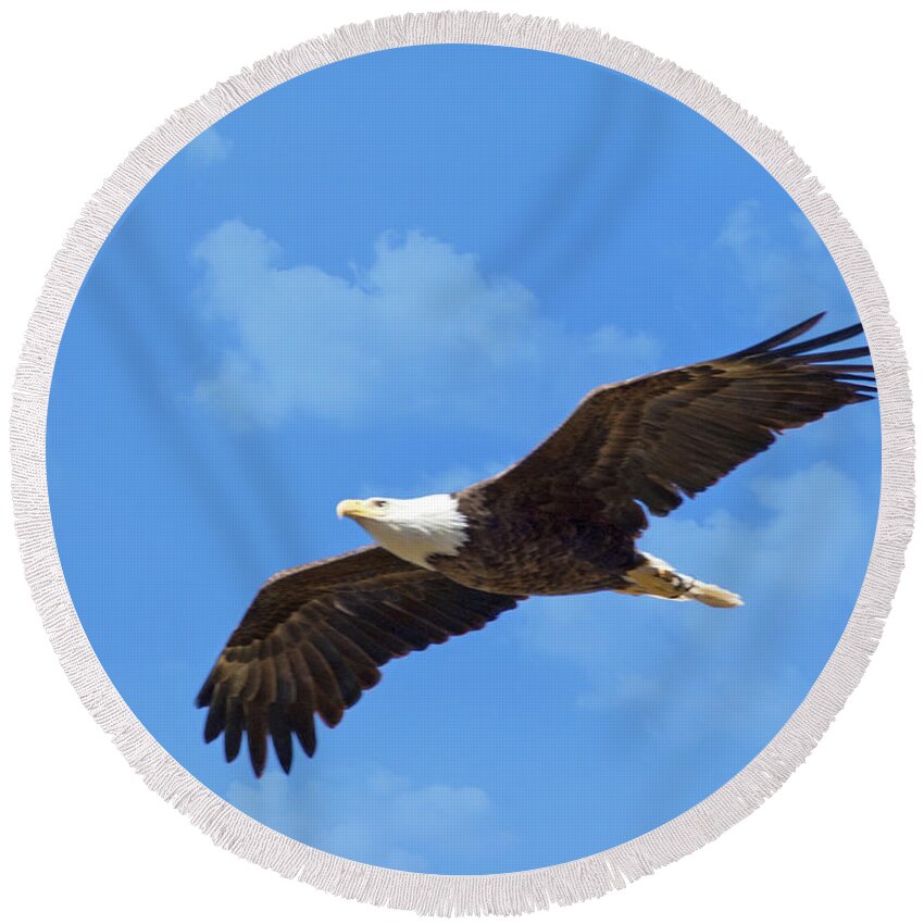 Eagle Round Beach Towel featuring the mixed media Flying High by Geraldine DeBoer