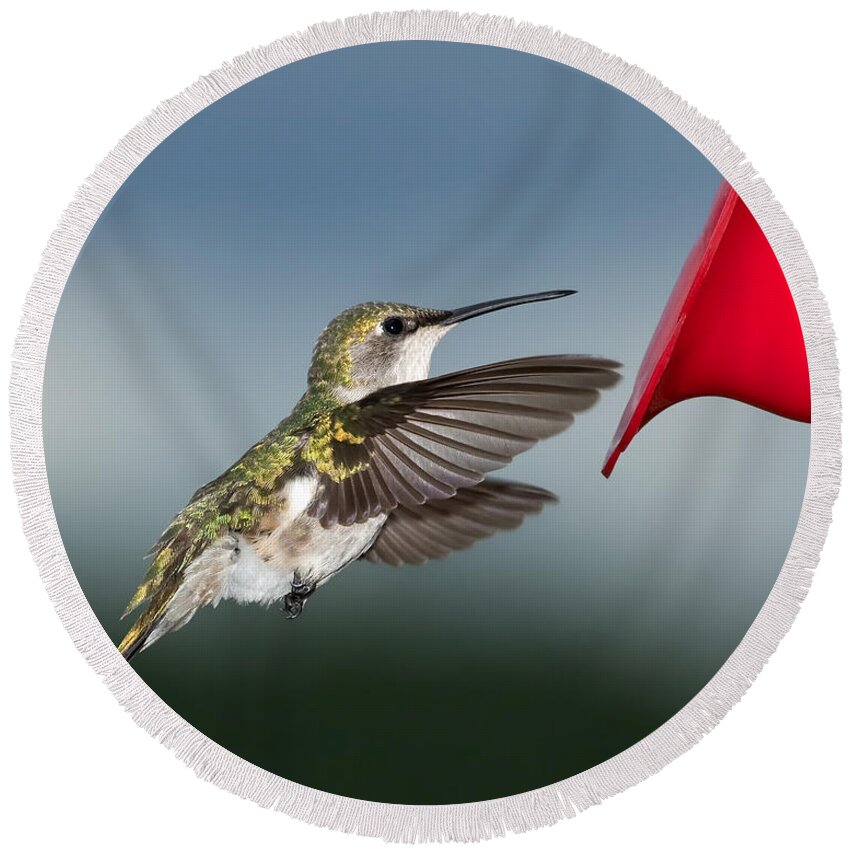 Hummingbird Round Beach Towel featuring the photograph Flying Hummingbird close-up by Al Mueller