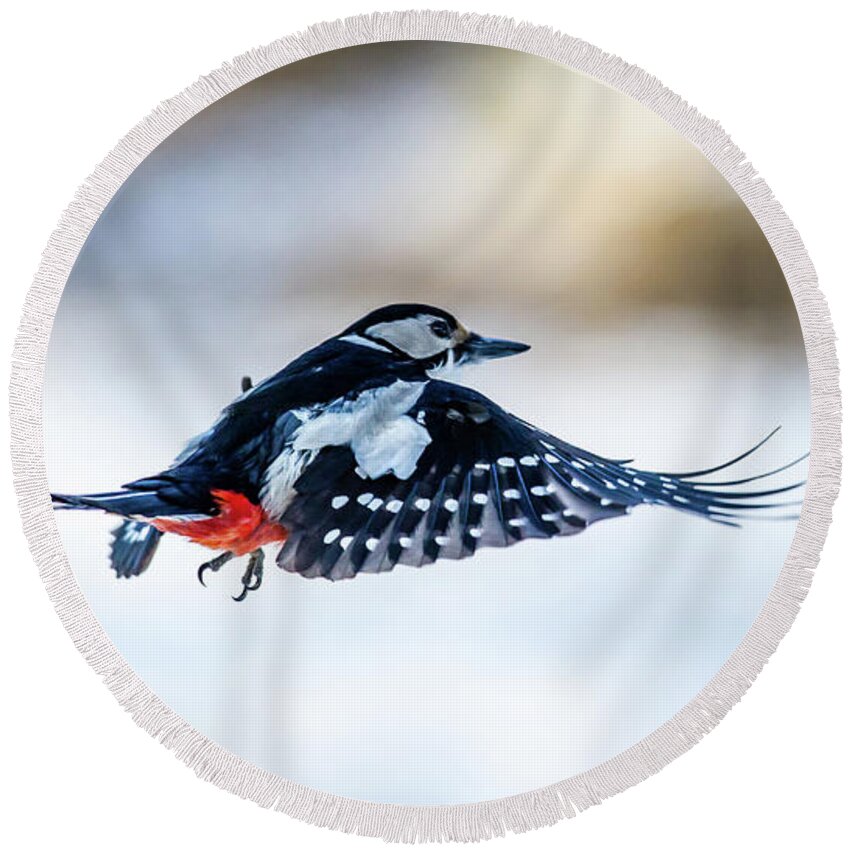 Flying Woodpecker Round Beach Towel featuring the photograph Flying Woodpecker by Torbjorn Swenelius