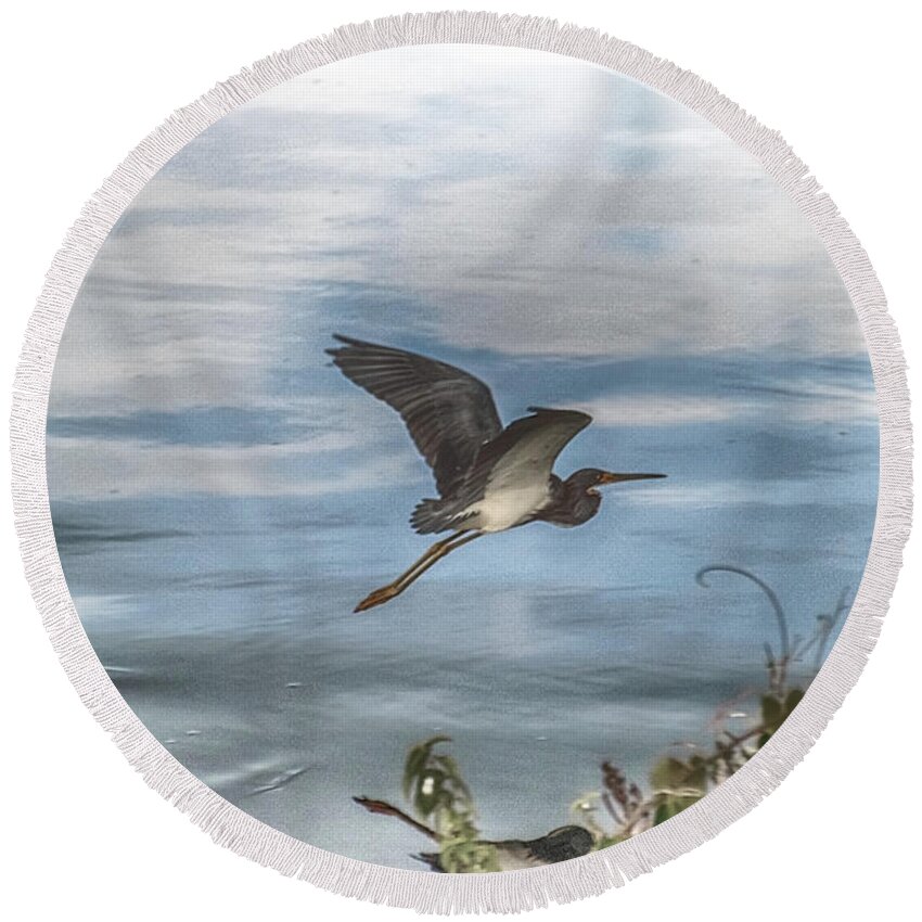 Heron Round Beach Towel featuring the photograph Flyover by Judy Hall-Folde