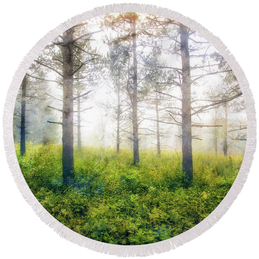 Jennifer Rondinelli Reilly Round Beach Towel featuring the photograph Foggy Woods - Wisconsin by Jennifer Rondinelli Reilly - Fine Art Photography