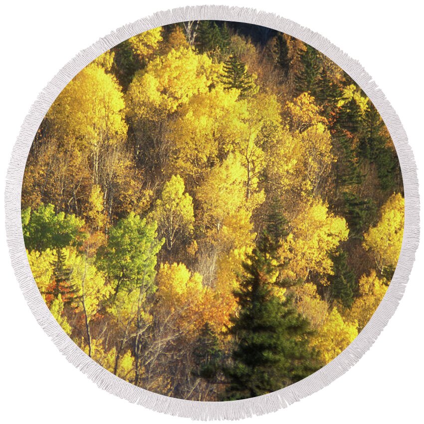 Forest Round Beach Towel featuring the photograph Foliage Mount Katahdin by John Burk