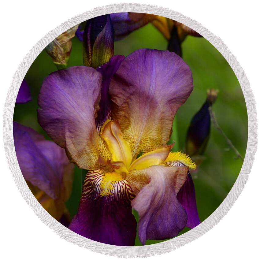 Flowers Round Beach Towel featuring the photograph For the Love of Iris by Ben Upham III
