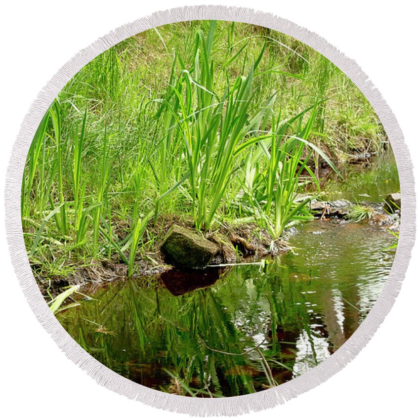 Brook Round Beach Towel featuring the photograph Forest Brook by Elena Perelman