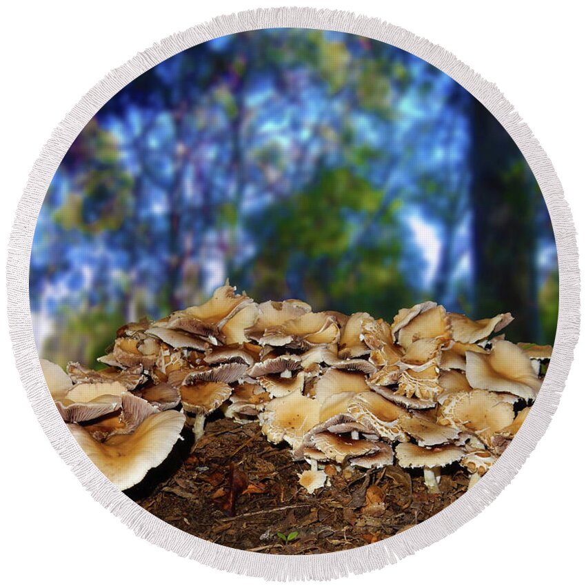 Mushrooms Round Beach Towel featuring the photograph Forest Cluster by Mark Blauhoefer