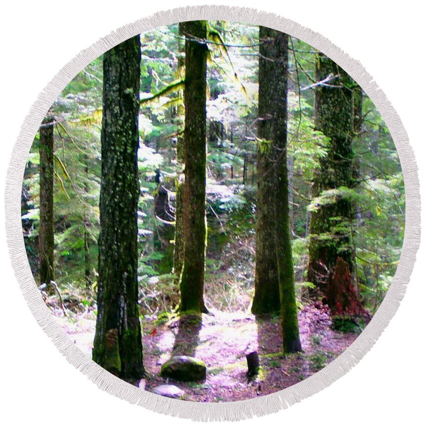 Trees Round Beach Towel featuring the photograph Forest Giants by A L Sadie Reneau