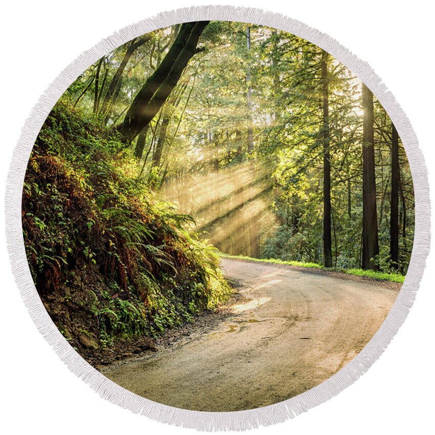 Nature Round Beach Towel featuring the photograph Forest Light by Jason Roberts