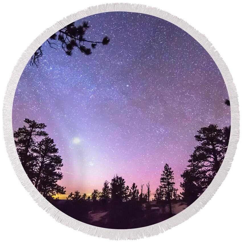 Sky Round Beach Towel featuring the photograph Forest Night Star Delight by James BO Insogna