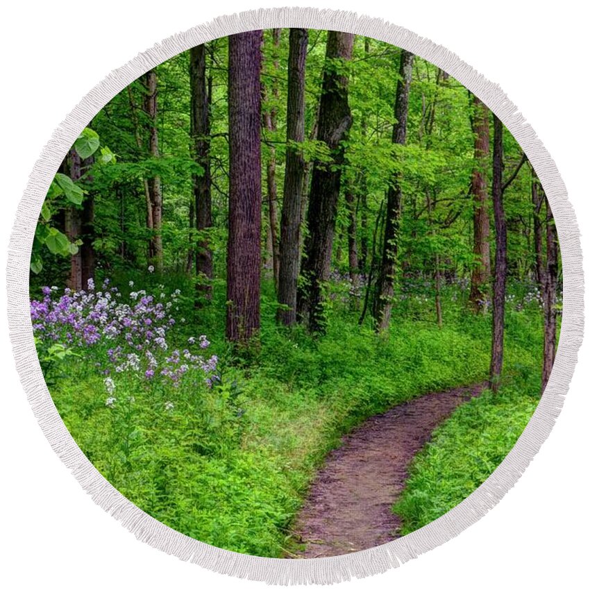 Forrest Round Beach Towel featuring the photograph Forest Path by Ann Bridges