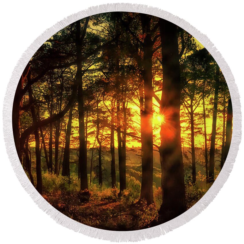 Landscape Round Beach Towel featuring the photograph Forest Sunset by Chris Boulton