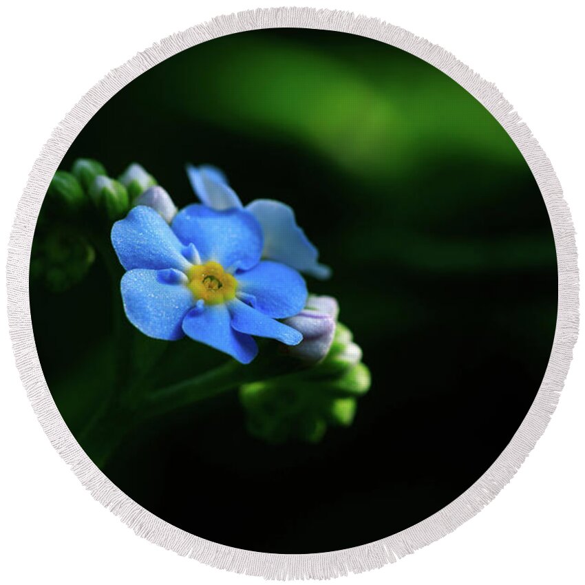 Forget-me-not Round Beach Towel featuring the photograph Forget-me-not by Rob Davies
