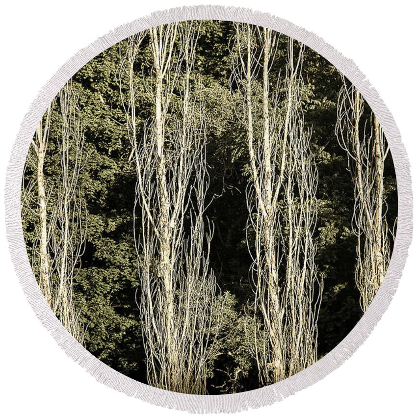 Landscape Round Beach Towel featuring the photograph Forrest View by Michael Nowotny