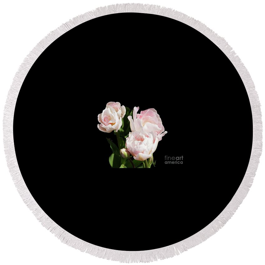 Four Pink Tulips And A Bud On Black Round Beach Towel featuring the photograph Four Pink Tulips and a Bud on Black by Victoria Harrington
