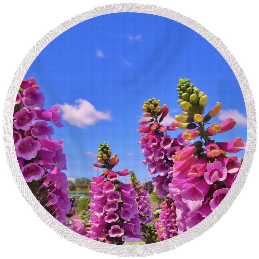 Foxglove Round Beach Towel featuring the photograph Foxglove Dancing in the Wind by Sharon Ackley