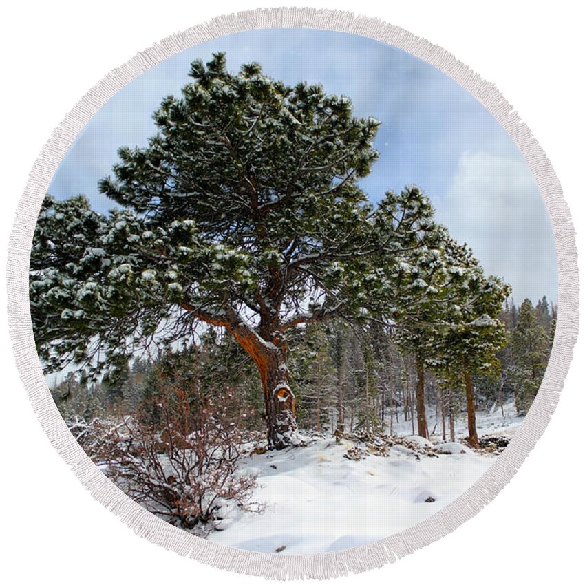 Snow Round Beach Towel featuring the photograph Fresh Mountain Snow by Shane Bechler