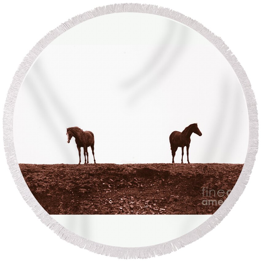 Horses Round Beach Towel featuring the photograph Friends-1 by Casper Cammeraat