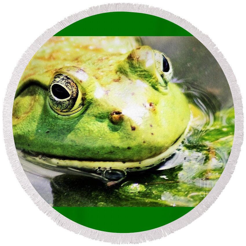Frog Round Beach Towel featuring the photograph Frog Close Up by Nick Gustafson