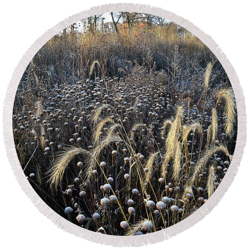 Glacial Park Round Beach Towel featuring the photograph Frosted Foxtail Grasses in Glacial Park by Ray Mathis