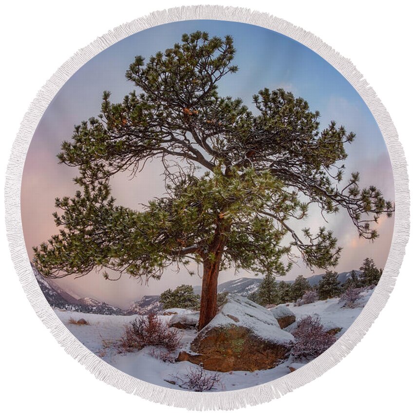 Trees Round Beach Towel featuring the photograph Frosted Mountain Moon by Darren White