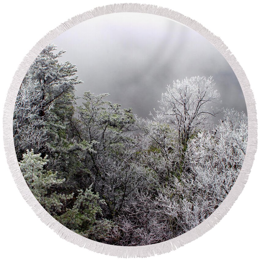 Tree Tops Round Beach Towel featuring the photograph Frosted Tops by Mike Eingle