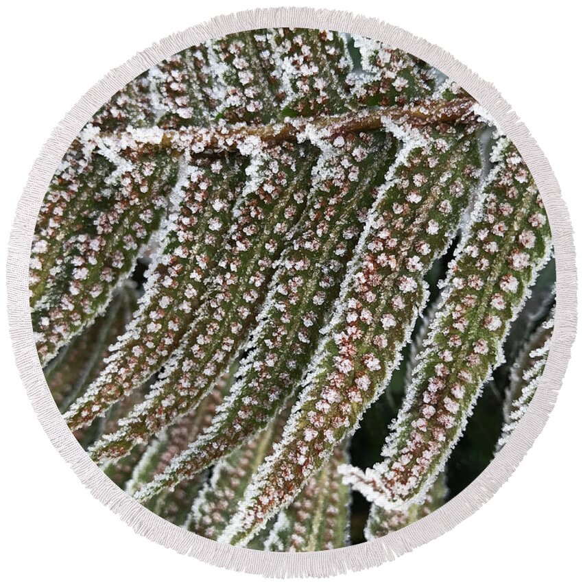 Frosty Fern Round Beach Towel featuring the photograph Frosty Fern - 365-322 by Inge Riis McDonald