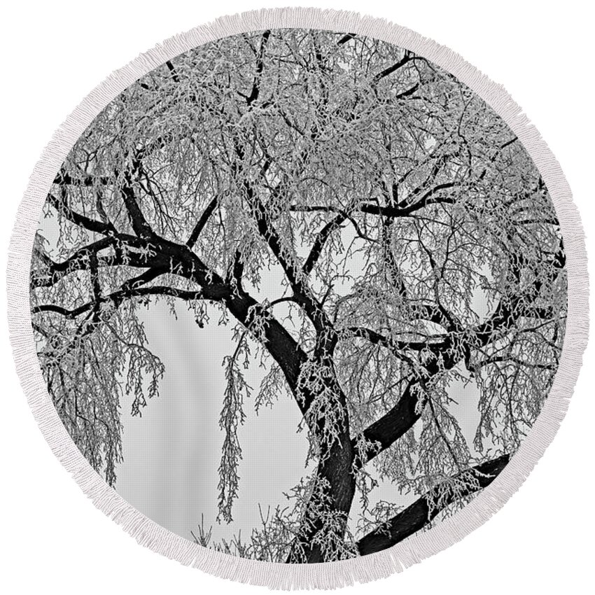  Round Beach Towel featuring the digital art Frosty Friday by Darcy Dietrich