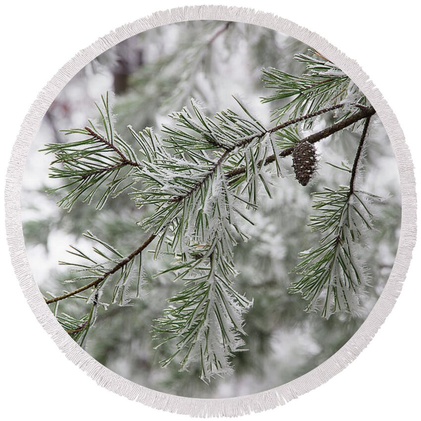 Frost Round Beach Towel featuring the photograph Frosty Pinecone by Mike Eingle