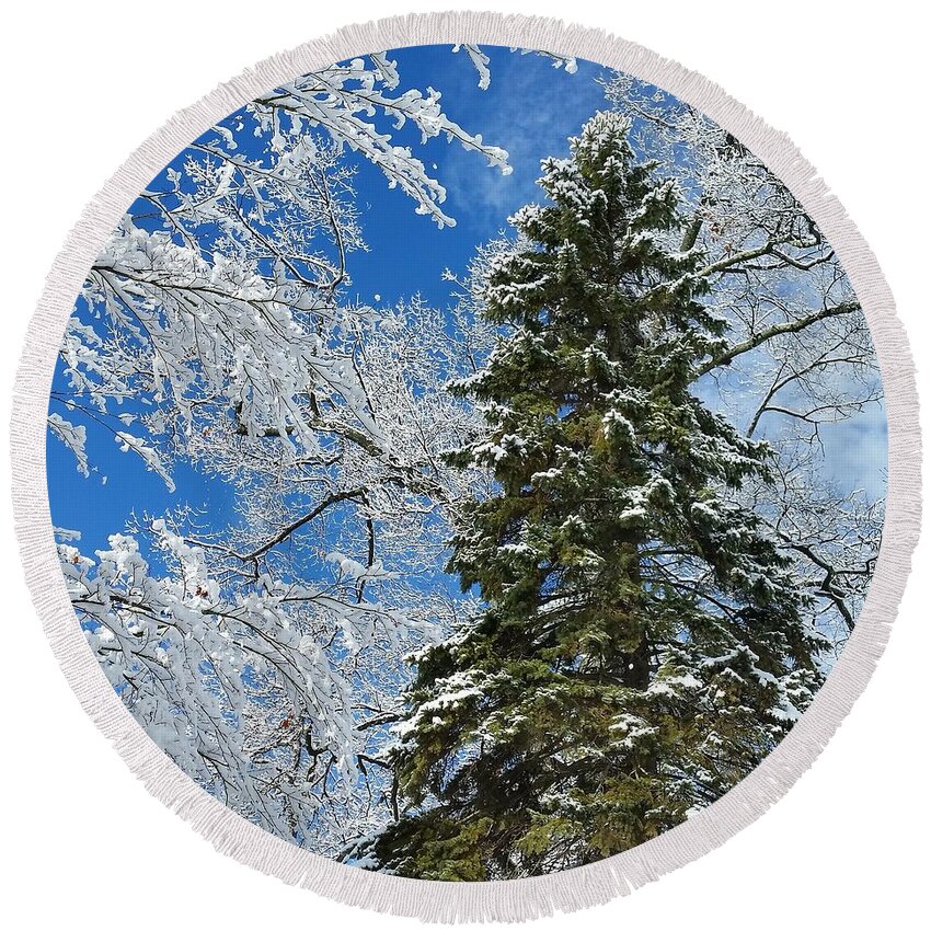 Winter Round Beach Towel featuring the photograph Frozen Evergreen by Vic Ritchey